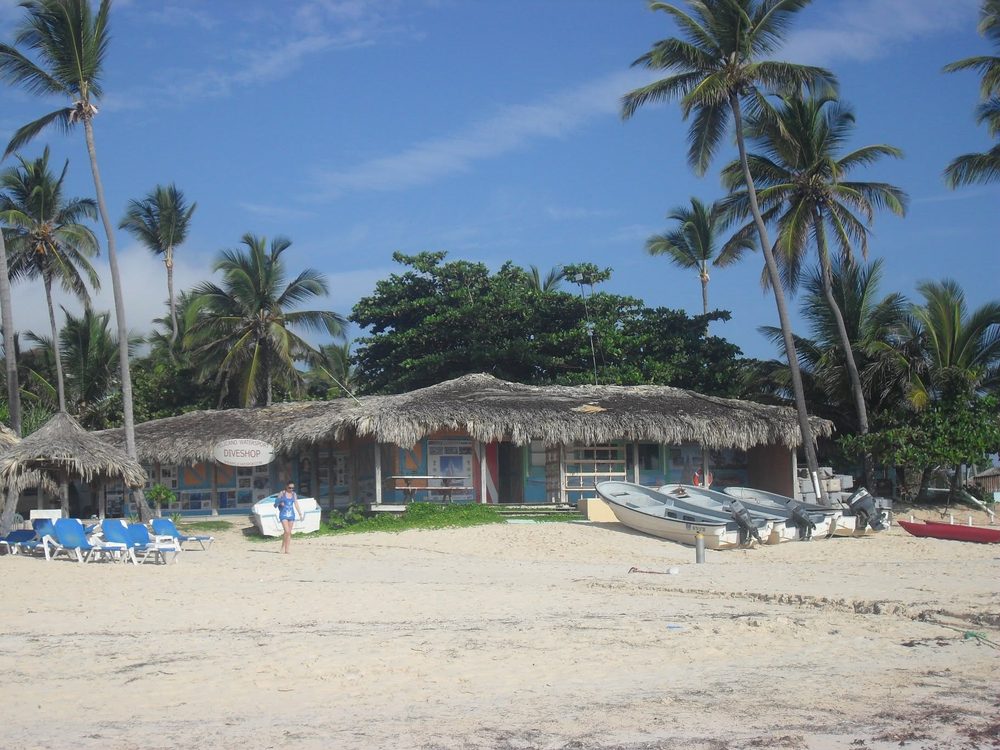 Palmenstrand in Punta Cana